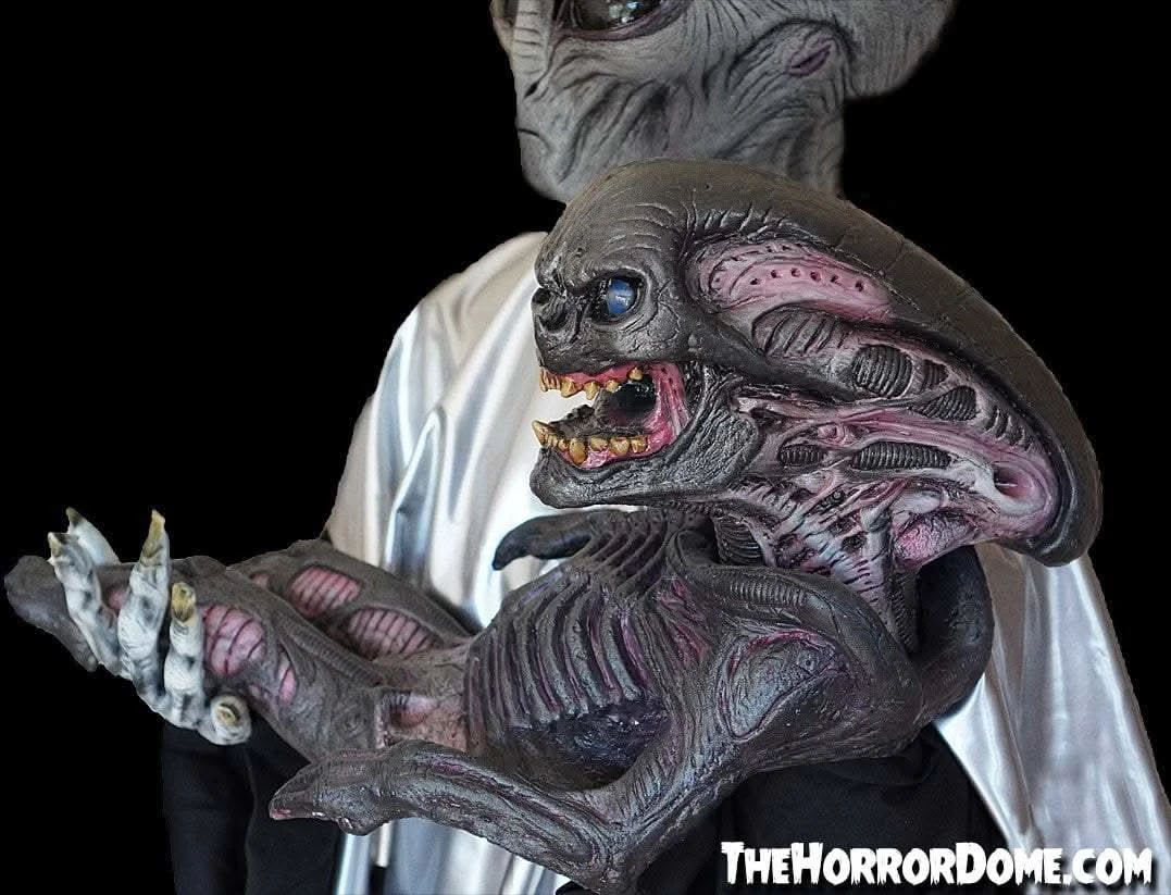"Alien Xenomorph Puppet" HD Studios Halloween Prop 2 "Alien Xenomorph Puppet" HD Studios Halloween Prop - Image 2