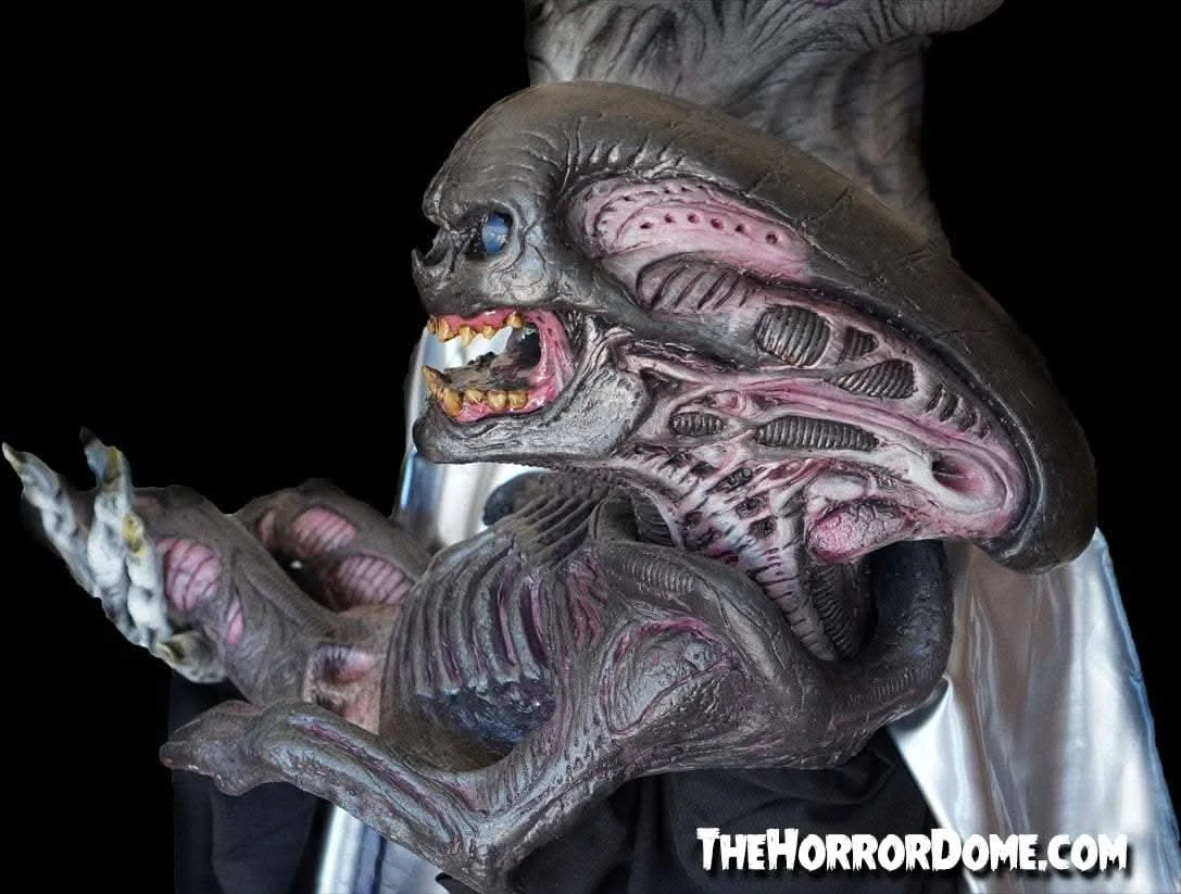 "Alien Xenomorph Puppet" HD Studios Halloween Prop 4 "Alien Xenomorph Puppet" HD Studios Halloween Prop - Image 4
