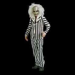 Beetlejuice Deluxe Costume