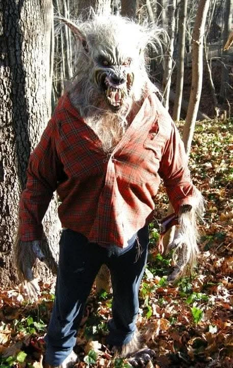 "Big Bad Wolf" HD Studios Pro Costume 2 "Big Bad Wolf" HD Studios Pro Costume - Image 2