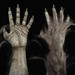 "Big Bad Wolf" HD Studios Pro Costume 16 "Big Bad Wolf" HD Studios Pro Costume -Halloween Costumes Shop big bad wolf hd studios pro werewolf halloween costume 28888194940976