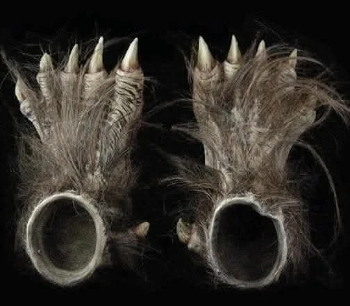 "Big Bad Wolf" HD Studios Pro Costume 9 "Big Bad Wolf" HD Studios Pro Costume - Image 9