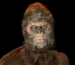 "Bigfoot" HD Studios Pro Costume -Halloween Costumes Shop bigfoot hd studios pro halloween costume 28754735956016