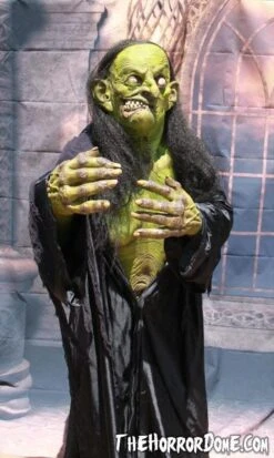 "Helga The Witch" HD Studios Pro Costume -Halloween Costumes Shop helga the witch hd studios pro halloween costume 12382259201