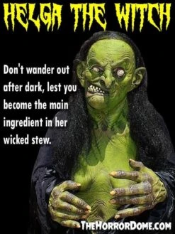 "Helga The Witch" HD Studios Pro Costume -Halloween Costumes Shop helga the witch hd studios pro halloween costume 14327608213552