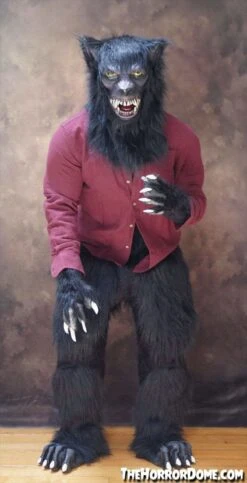 "Lycanthrope" HD Comfort Werewolf Costume -Halloween Costumes Shop lycanthrope hd studios comfort fit halloween costume 15348685635632