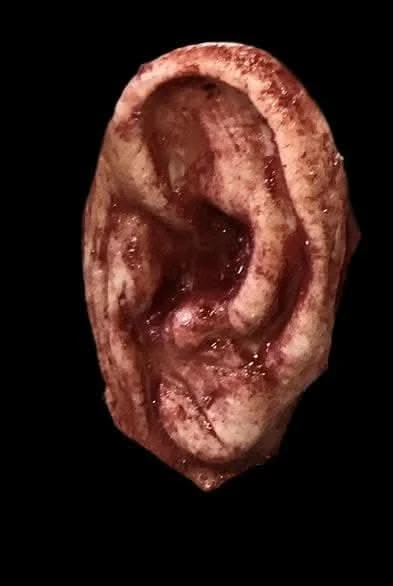 "Severed Ear" Halloween Prop 1 "Severed Ear" Halloween Prop