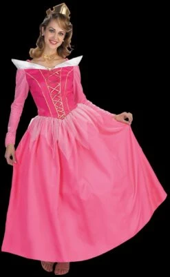 "Sleeping Beauty - Aurora" Costume