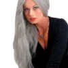 "Straight Grey Witch" Halloween Wig - 24"