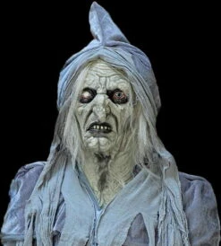 "Swamp Hag" HD Studios Costume -Halloween Costumes Shop swamp hag hd studios costume 30783282249776