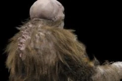 "The Hobgoblin" HD Studios Pro Costume 12 "The Hobgoblin" HD Studios Pro Costume -Halloween Costumes Shop the hobgoblin hd studios pro halloween costume 8721737217