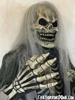 Skeletal Remains HD Studios Pro Costume -Halloween Costumes Shop tomb raider skeleton hd studios pro halloween costume 7249841225776