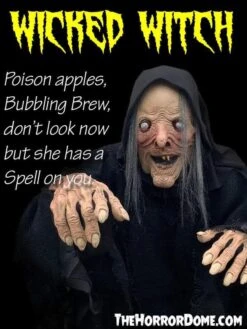 "Wicked Witch" HD Comfort Costume -Halloween Costumes Shop wicked witch hd studios comfort fit halloween costume 14335789858864