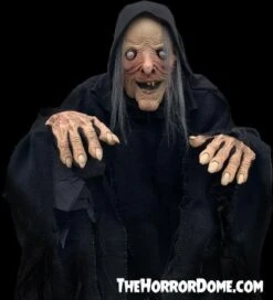 "Wicked Witch" HD Comfort Costume -Halloween Costumes Shop wicked witch hd studios comfort fit halloween costume 14335880822832