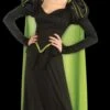 "Wicked Witch Of The West" Costume (Adult)