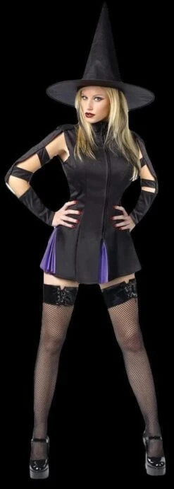 "Wicked Witch" Costume (Adult)