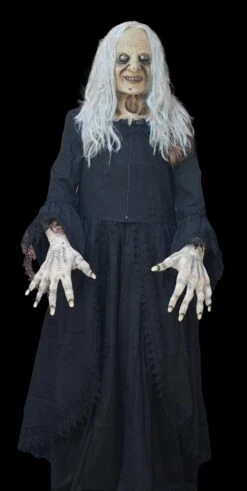 "Witchy Woman" HD Studios Costume
