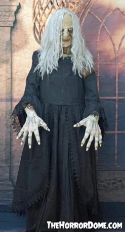 "Witchy Woman" HD Studios Costume -Halloween Costumes Shop witchy woman hd studios halloween costume 28885599977520