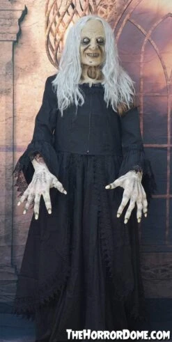 "Witchy Woman" HD Studios Costume -Halloween Costumes Shop witchy woman hd studios halloween costume 28885601943600