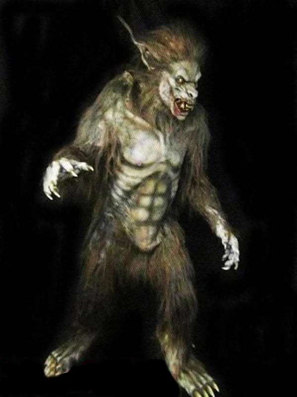 "Wolf Man" Professional Costume 1 "Wolf Man" Professional Costume