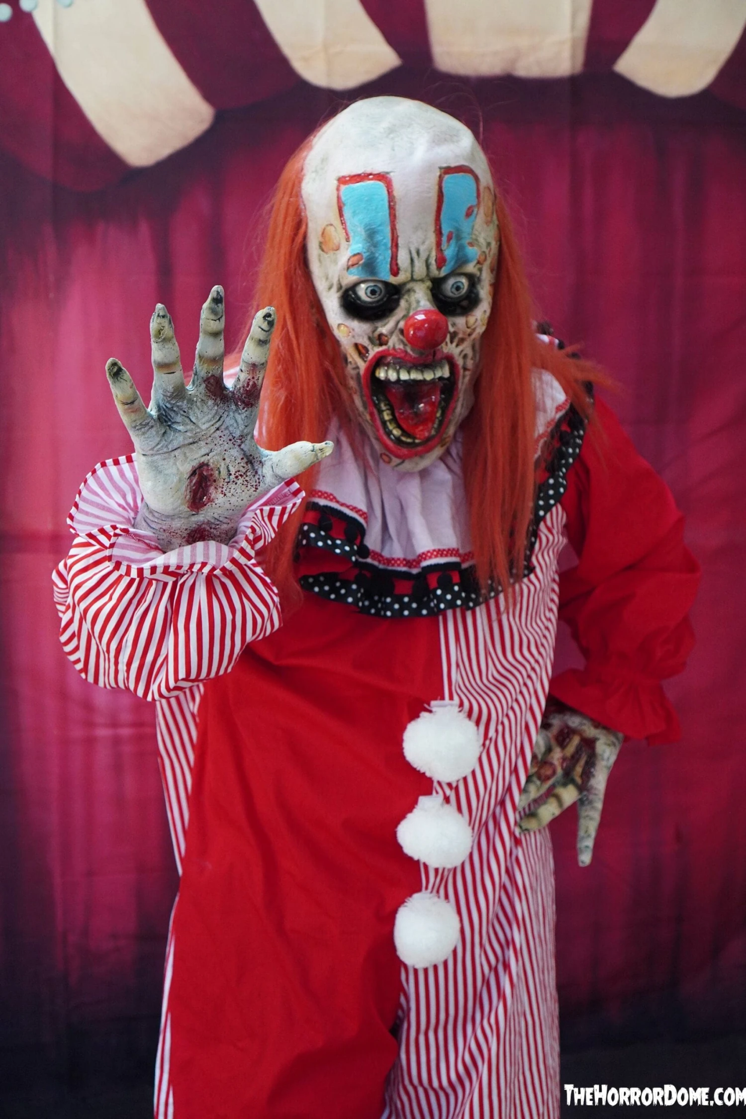 "Zero The Clown" HD Studios Costume 3 "Zero The Clown" HD Studios Costume - Image 3