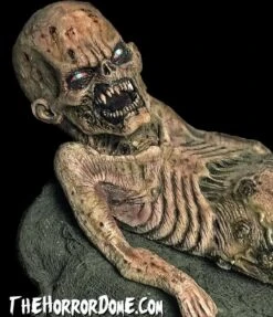 "Zombie Baby" HD Studios Halloween Puppet Prop -Halloween Costumes Shop zombie baby hd studios halloween puppet prop 28757064253488