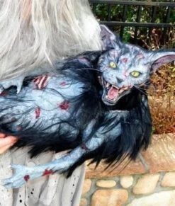 "Zombie Cat" HD Studios Halloween Puppet Prop -Halloween Costumes Shop zombie cat hd studios halloween puppet prop 8720878593