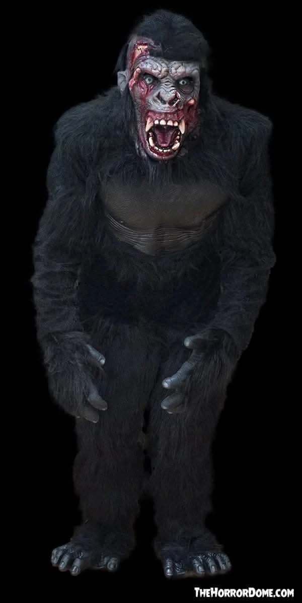 "Zombie Gorilla" HD Studios Pro Costume 3 "Zombie Gorilla" HD Studios Pro Costume - Image 3