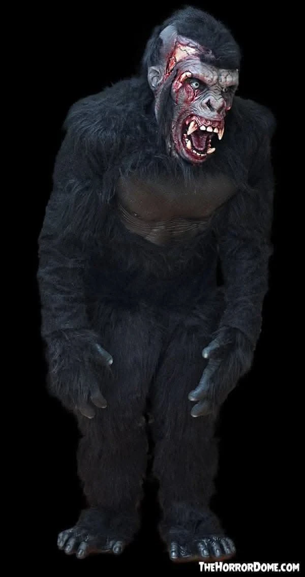 "Zombie Gorilla" HD Studios Pro Costume 4 "Zombie Gorilla" HD Studios Pro Costume - Image 4