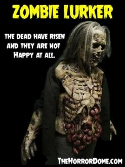 "Zombies" HD Studios Pro Costumes - 3x Package Deal 8 "Zombies" HD Studios Pro Costumes - 3x Package Deal -Halloween Costumes Shop zombies hd studios pro halloween costumes 3x package deal 14334963154992